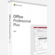 Microsoft Office 2019 Professional PLUS PC ESD PL